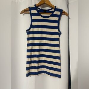 JCrew Blue and Cream Striped Tank Top